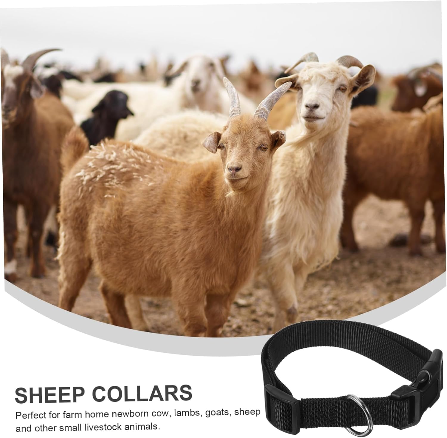 VICASKY 30pcs Adjustable Sheep Collars for Livestock Horse Halters Lost Pet Accessories for Goats and Cattle