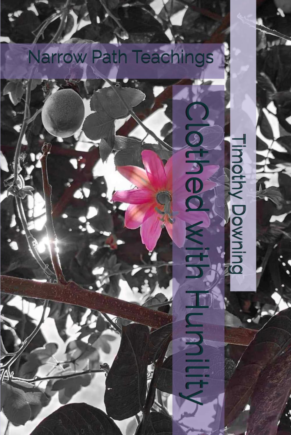 Clothed with Humility (Narrow Path Teachings)