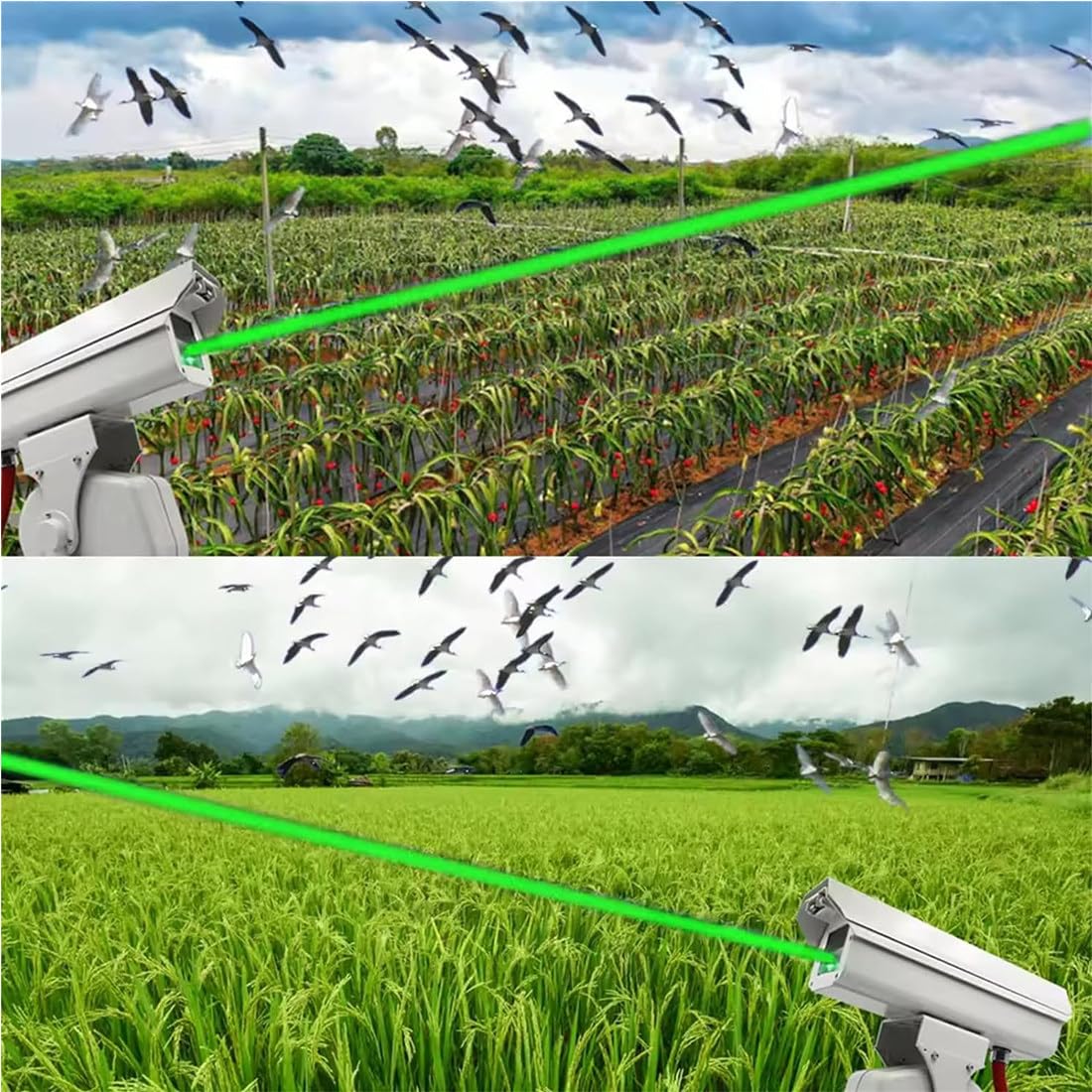 Automatic Bird Chaser Bird Deterrent Bird Repellent Devices Green Light Bird Scare Bird Protection Keep Pigeon Sparrow Starling Away Seagull Repeller B