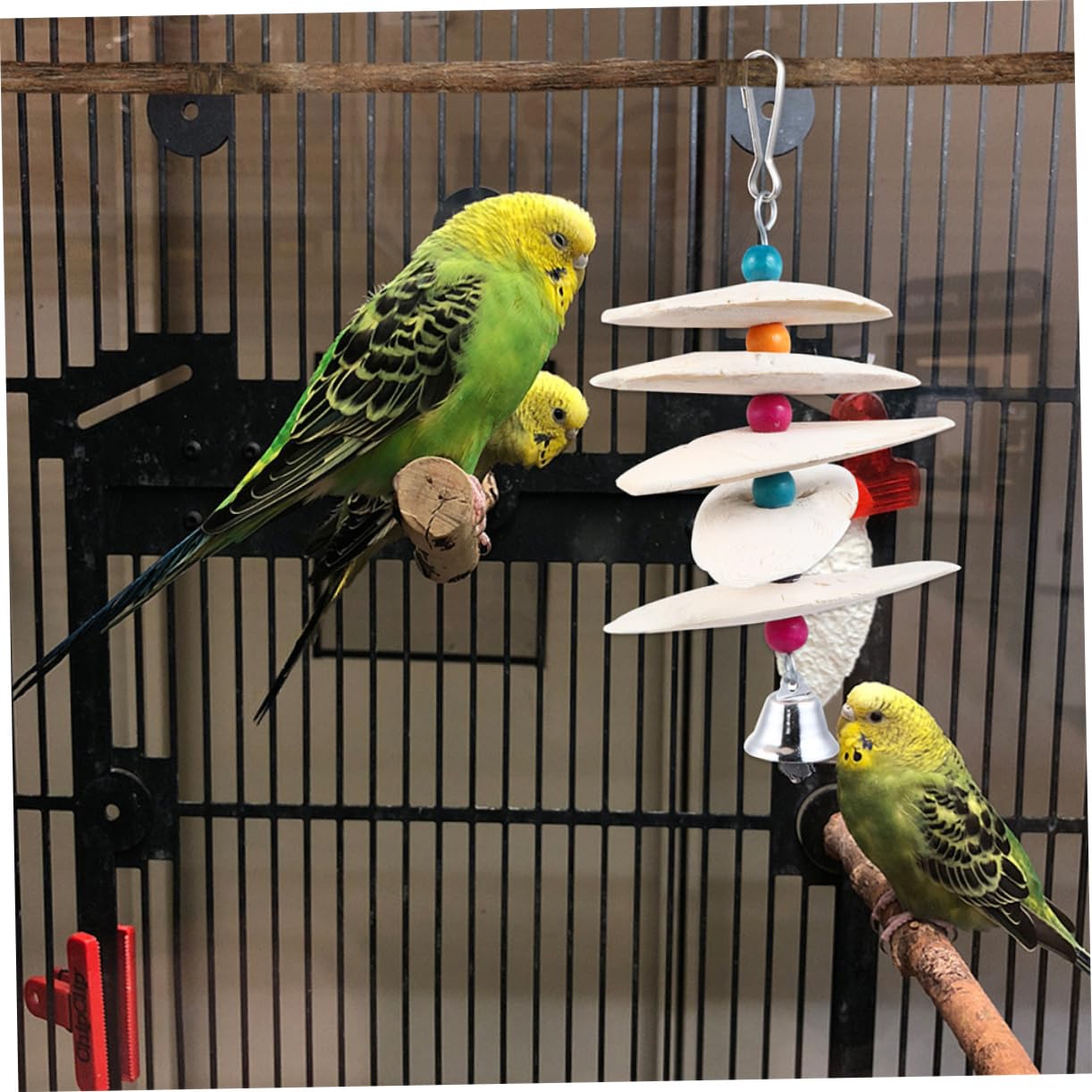 POPETPOP 6pièces Jouets à Mordre De Seiche pour Oiseaux Accessoires De Formation Molarité pour Perruches Et Petits Animaux Couleur Aléatoire