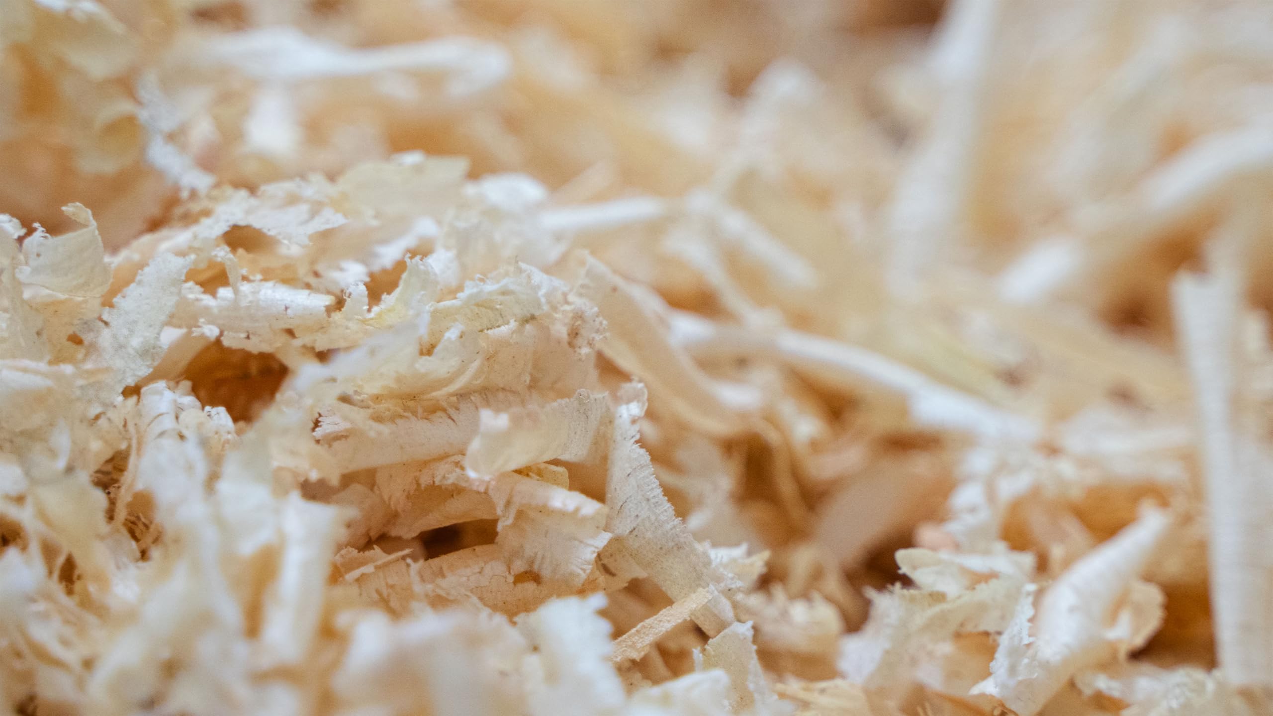1kg Zirbenspäne 1. Wahl - zertifiziertes Zirbenholz - für Zirbenkissen, entstaubt, hochwertig verarbeitet