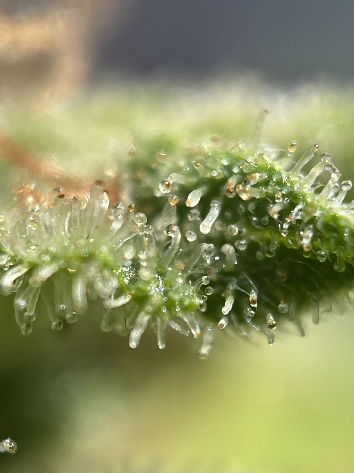 Gets the job done!!!