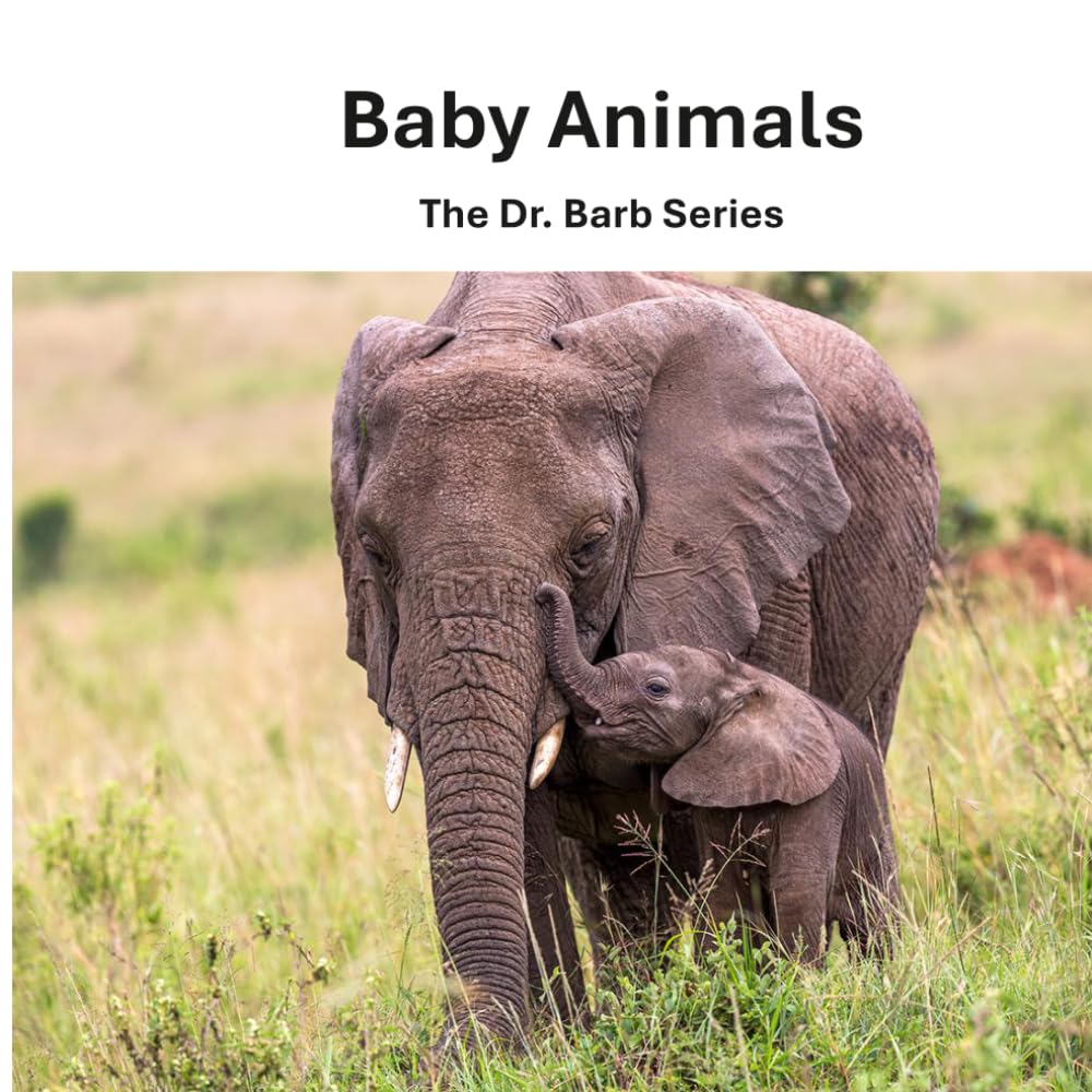 Baby Animals: The Dr. Barb Series