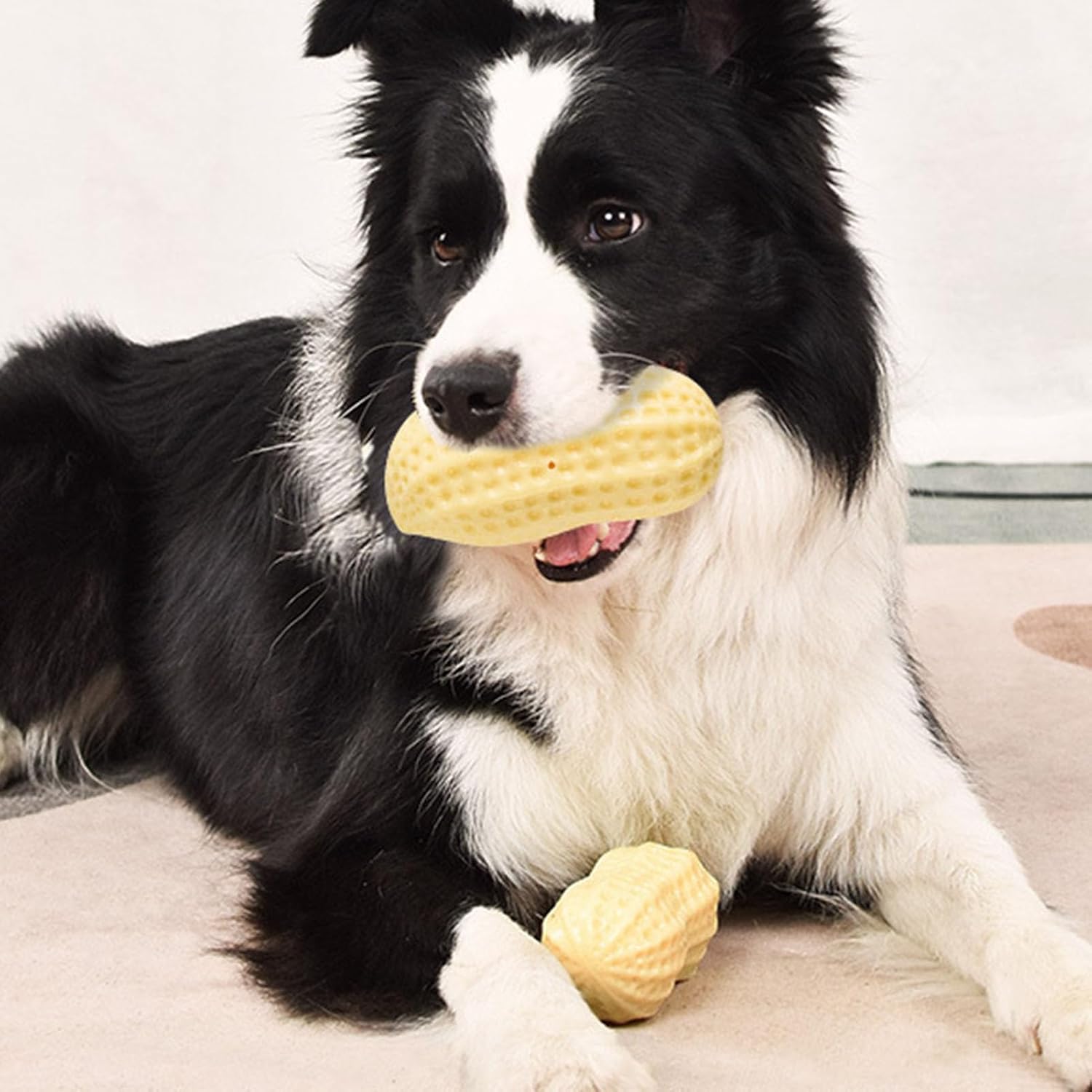 Dog Squeaky Toys Multipurpose Fun Interactive Teeth Grinding Bite Pet Chew Toys for Dogs Puppies Pets