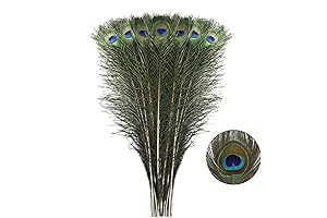 Peacock Plume Paradise: 40pcs Natural Long Peacock Feathers for Artistic Flair