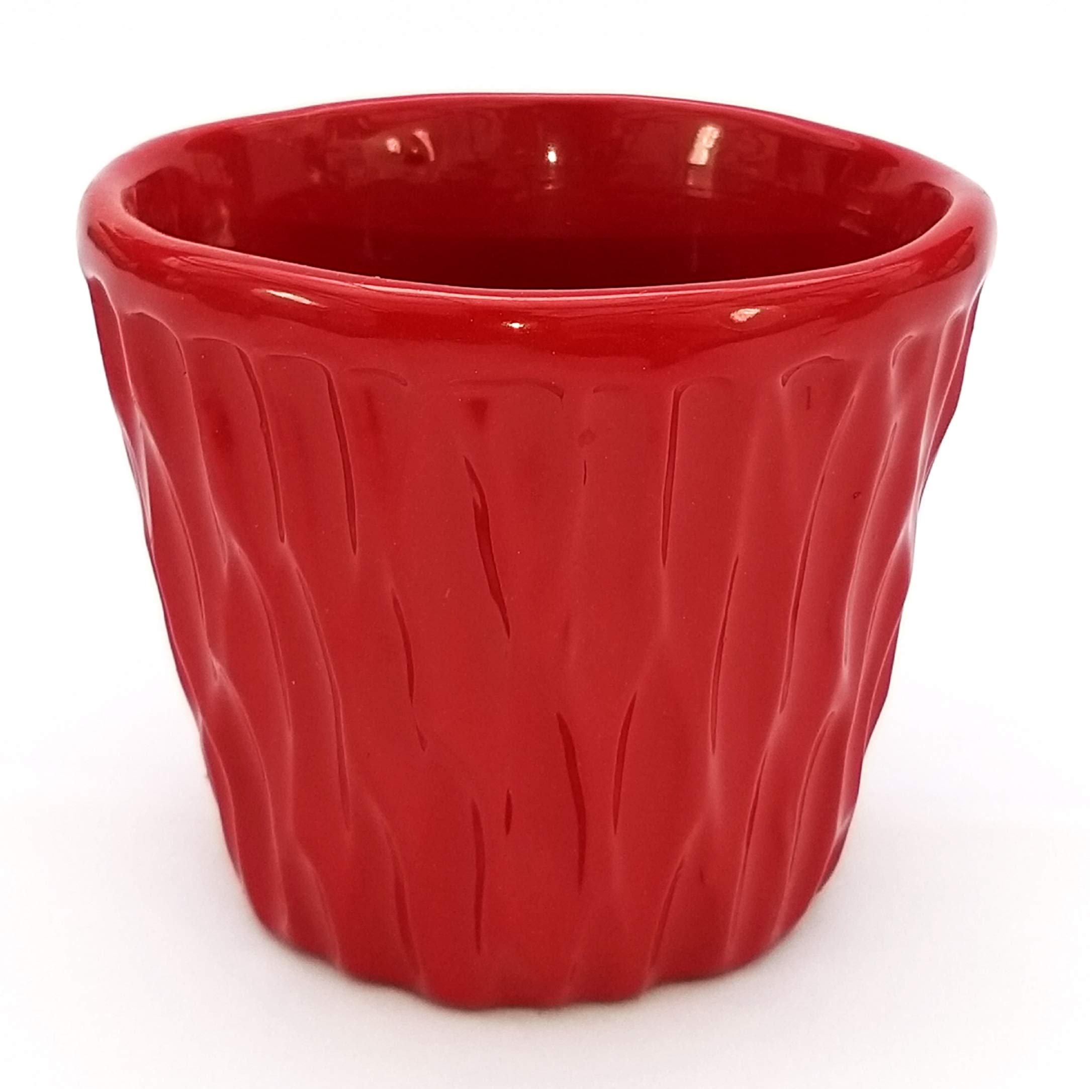 POWERS TO FLOWERS - AZALEA ALBERELLO ROSSA, VASO 13CM, ALTEZZA 40CM, pianta vera