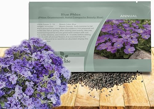 Outsidepride Blue Phlox Cubierta del suelo flores de jardín ropa de cama y plantas de contenedor 1000 semillas