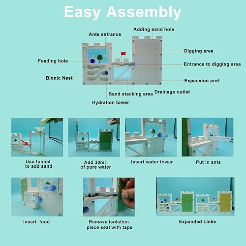 Miniatura 5 de Gran castillo de granja de hormigas de arena, ecosistema de hábitat de hormigas para estudiar colonia de hormigas Kit educativo de ciencia del