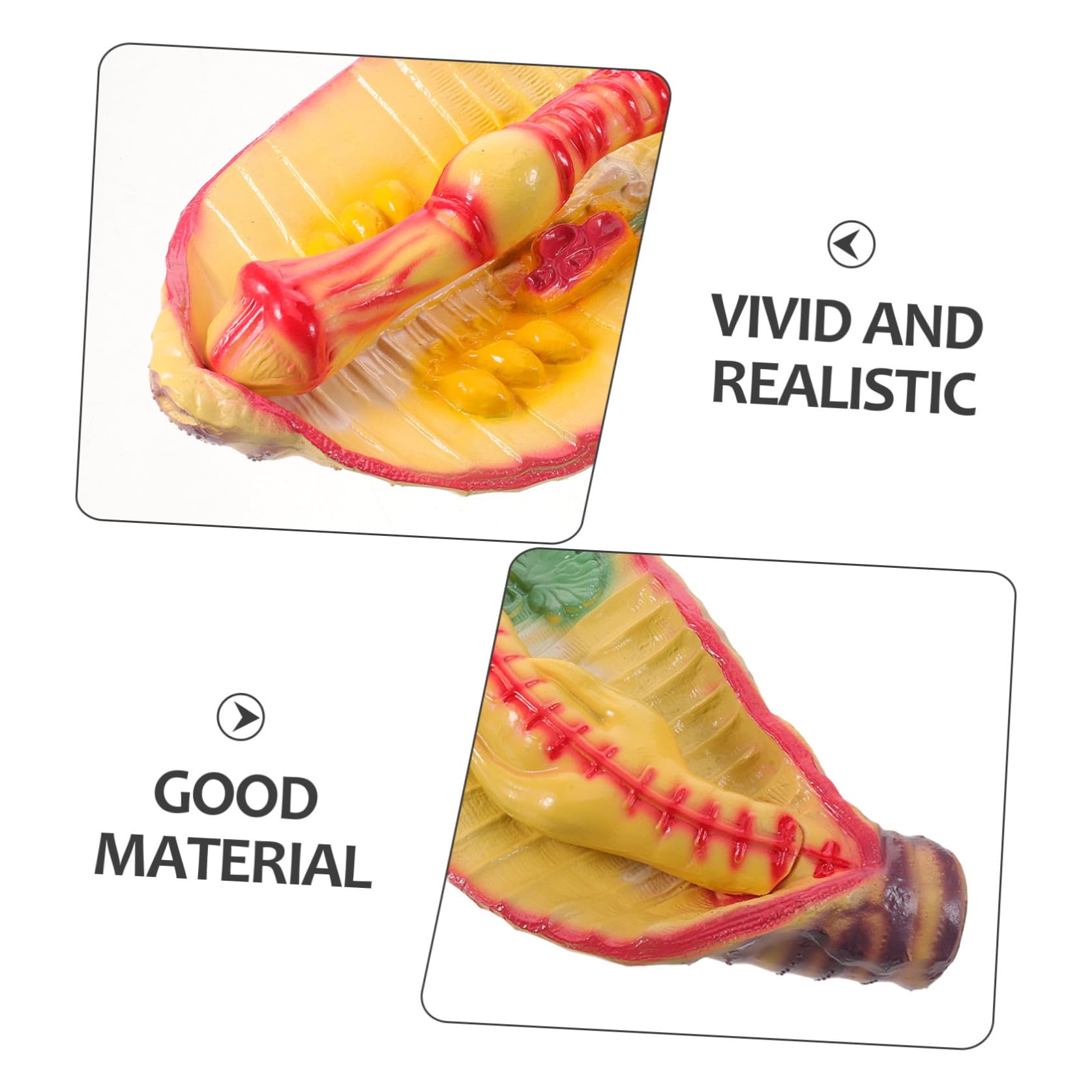Sosoport Modello di Anatomia di Verme Ingrandito in Plastica, Design Portatile e Realistico per Laboratorio di Biologia Scolastica e Kit Educativi Scientifici