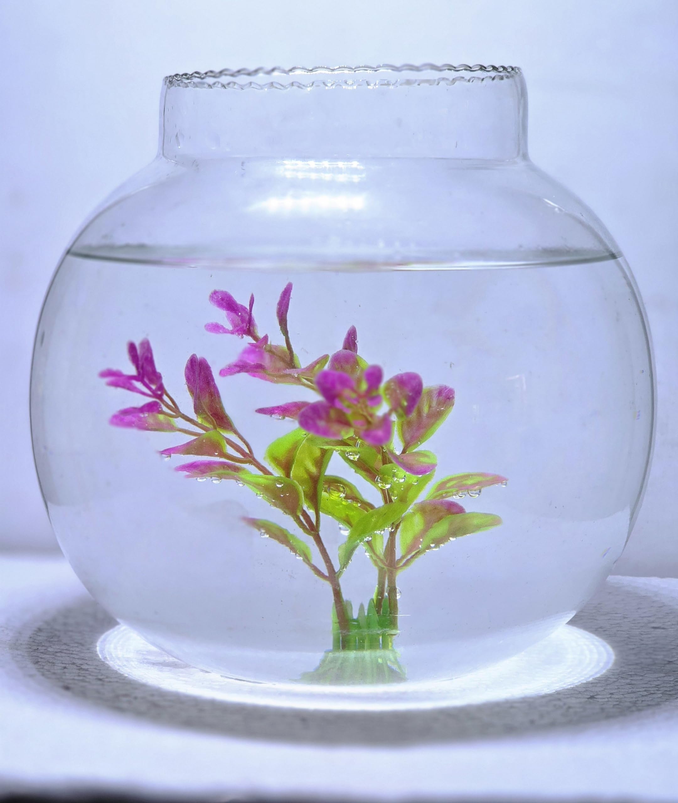 ADecor Crystal Clear Aquarium, Round Collar Vase, Fish Pot for Home & Centre Table Decoration (12 inches) (B0CVVW2YXL) Amazon Price History, Amazon Price Tracker