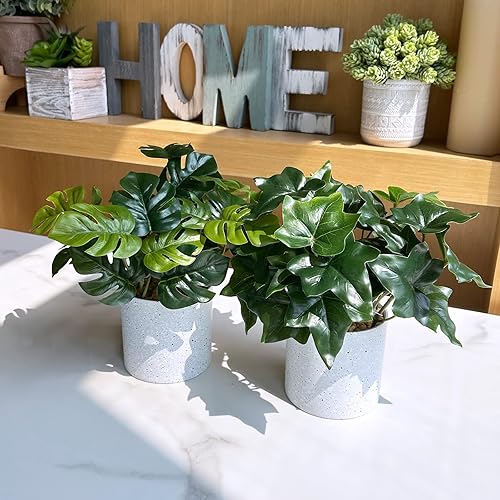 Miniatura 9 de Winlyn Juego de 2 plantas artificiales pequeñas en maceta, hiedra tropical realista de Monstera en macetas blancas con aspecto de piedra, vegetación