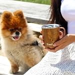 S’Well - Stainless Steel Mug with Handle and Slide-Open Lid, Vacuum Insulated Travel Mug for Hot and Cold Drinks, Condensation Free Coffee Cup, Dishwasher Safe (12 oz, Teakwood)
