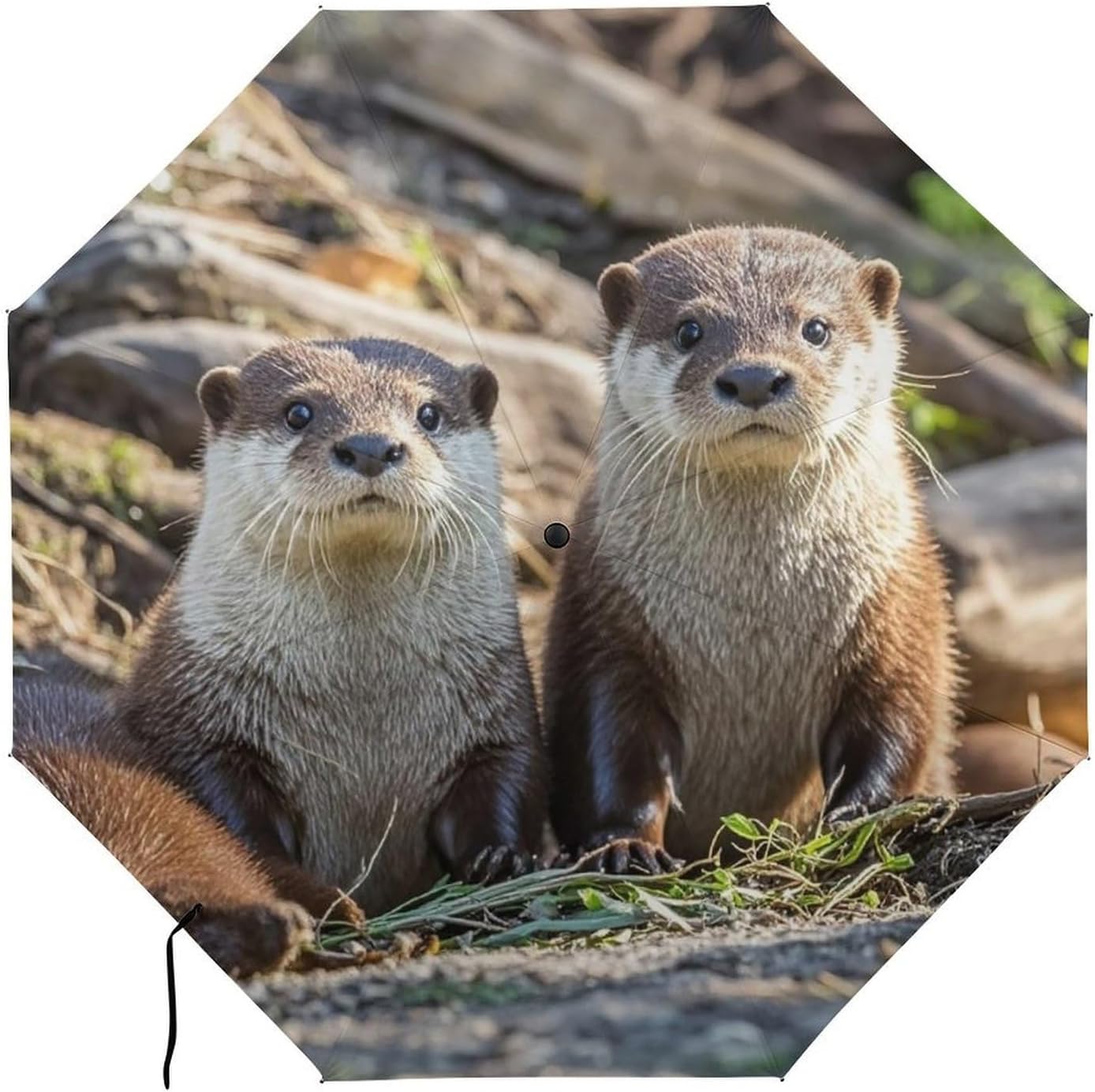 Animal Cute Brown Otters Golf Umbrellas-2 Fold Automatic,Windproof Umbrella with Portable,Strong,Folding Umbrella for Women Men