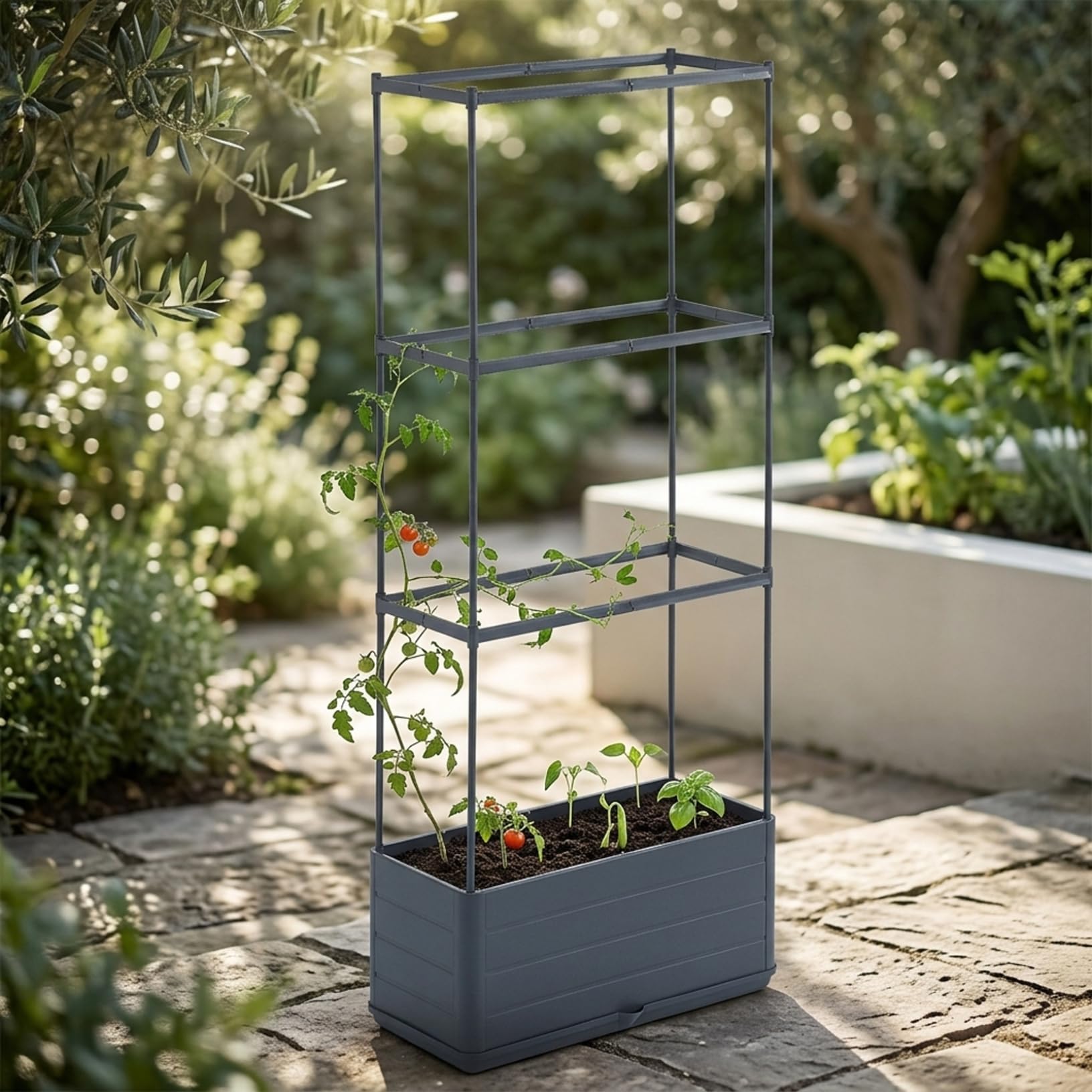 Jardinière de tomates à treillis en ABS pour légumes grimpants