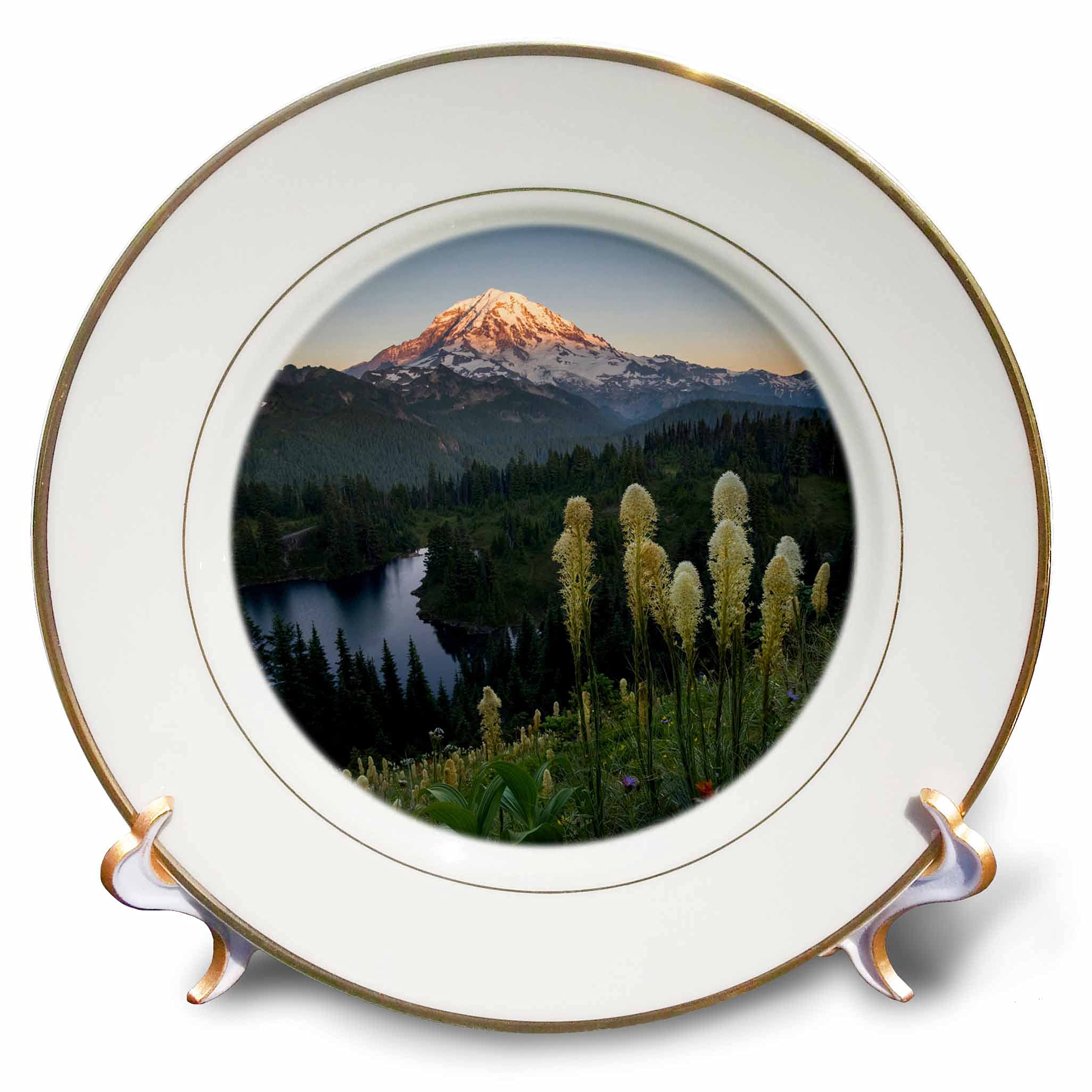 3dRose Washington State. Beargrass flowers at Eunice Lake. Mt. Rainier N.P, 8-Inch,White