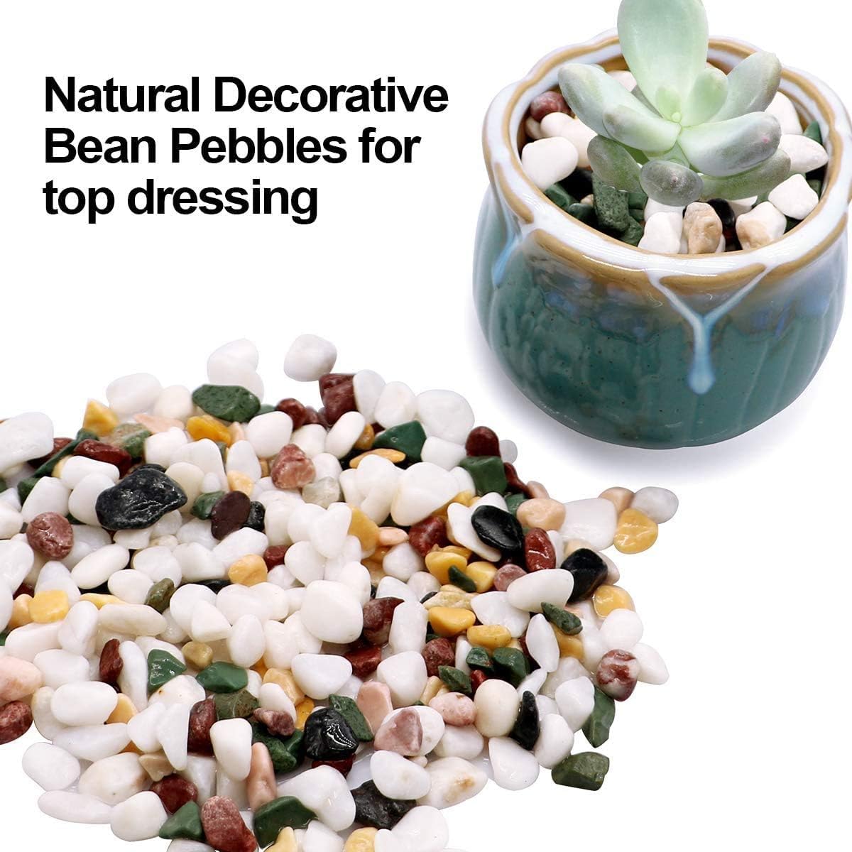 TOYPOPOR Galets de gravier pour plantes grasses et cactus de 2,7 kg, pierres polies naturelles décoratives de 1,27 cm, roches de rivière pour plantes, vases, aquariums, terrarium et jardinage