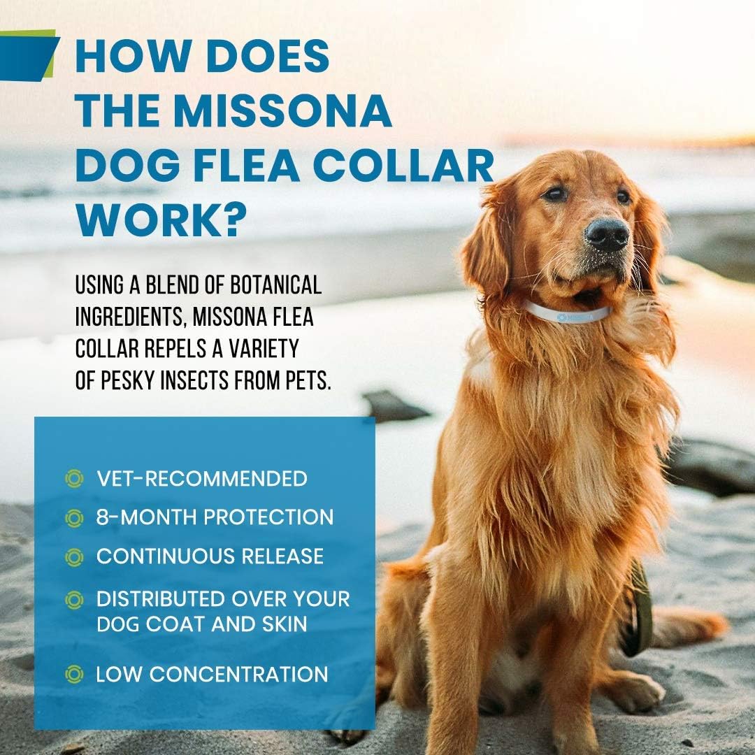 Flea and Tick Collar for Dogs Small and Large - Natural Flea and Tick Prevention for Dogs - 2 Pack