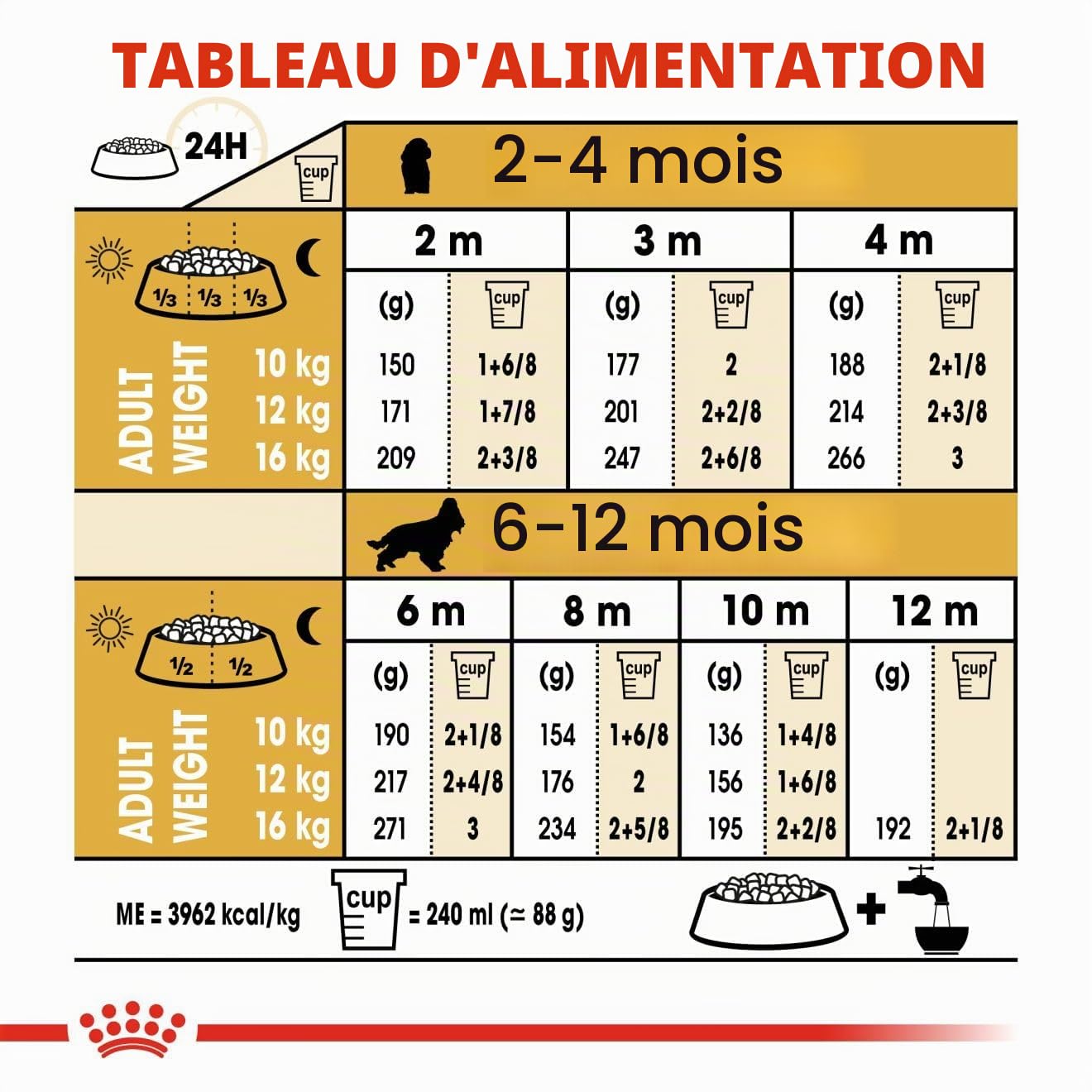 ROYAL CANIN COCKER JUNIOR sac de 3 kg/Croquettes pour chiot COCKER de 2 à 12 mois