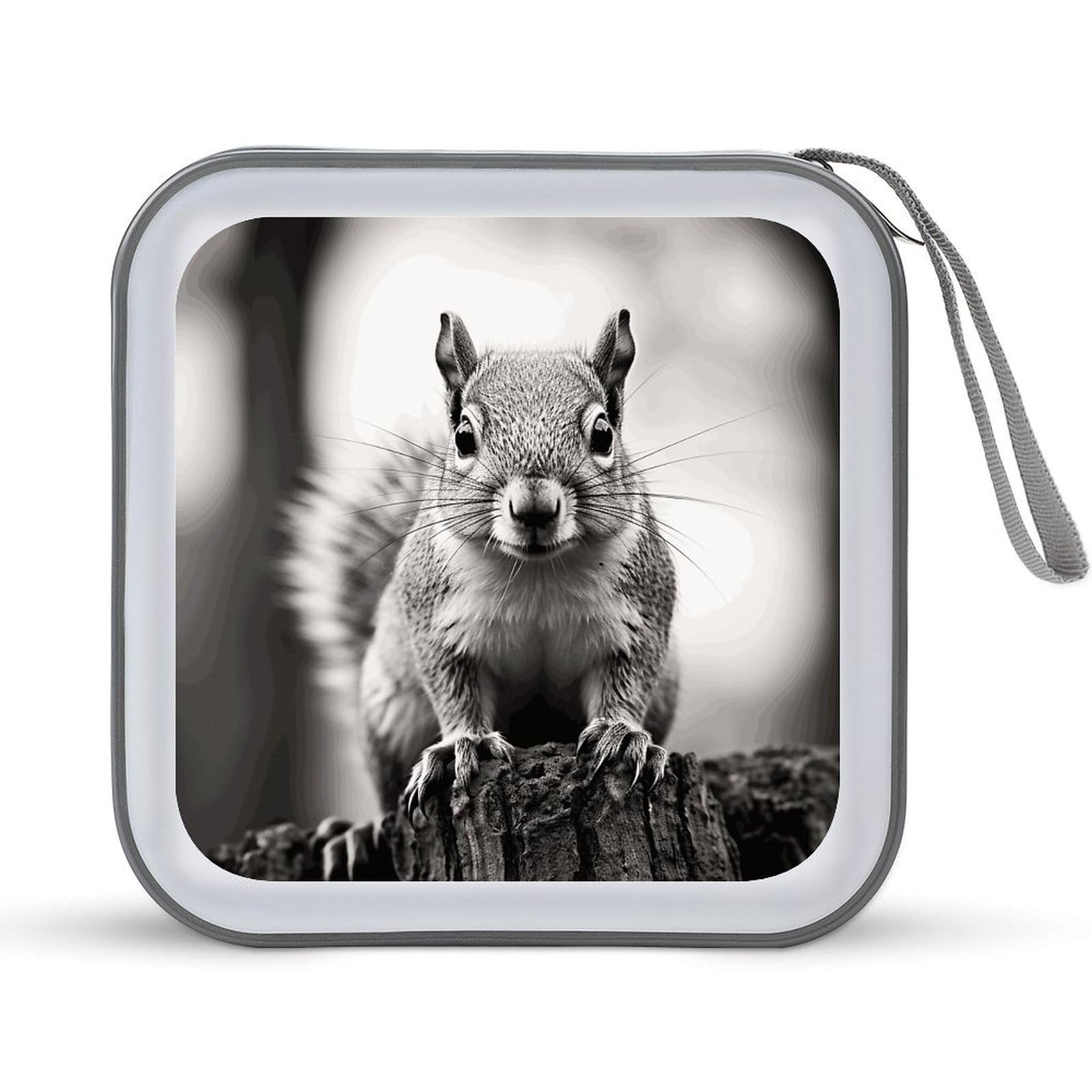 Étui de rangement CD/DVD 40 compartiments en plastique gris clair pour auto - 8