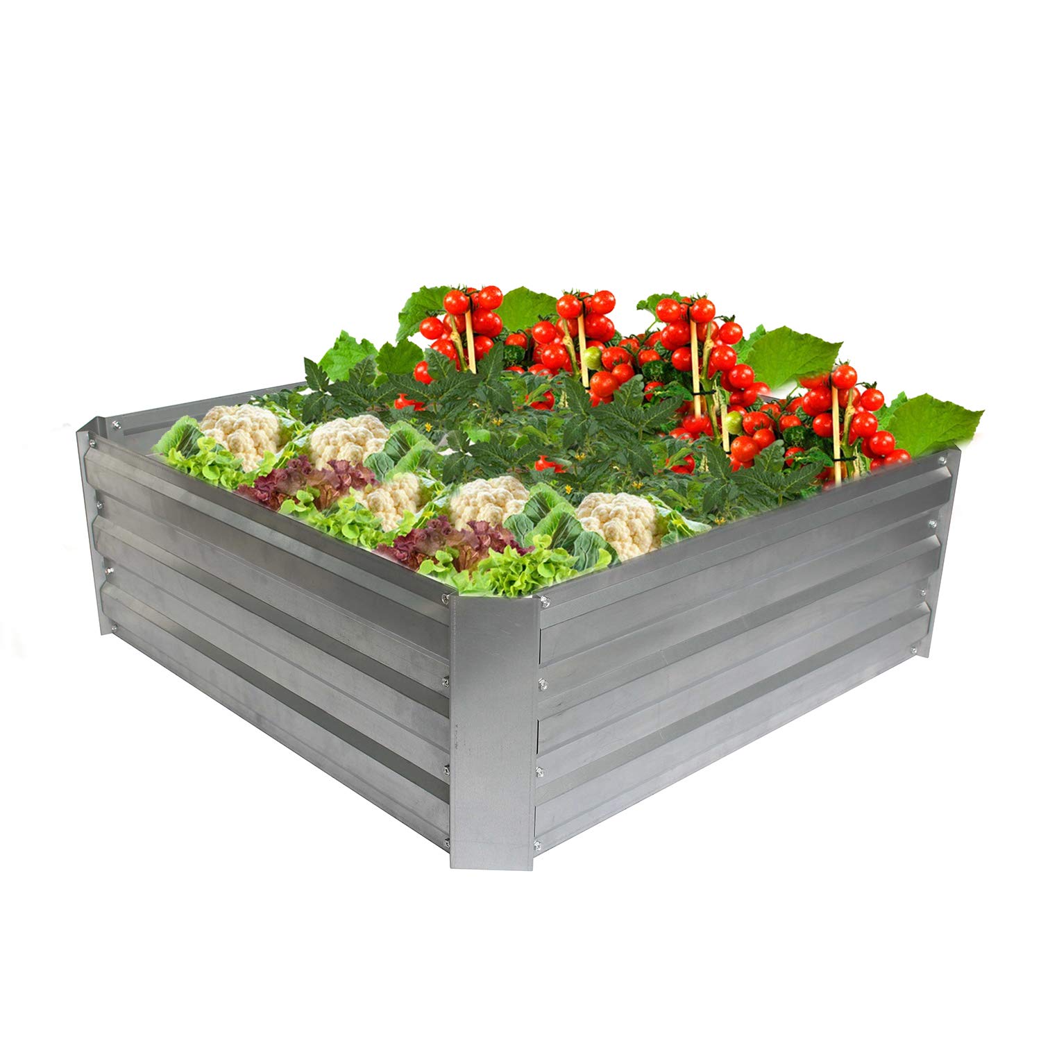 Buy 4W Raised Garden Bed, Galvanized Metal Planter Box Elevated Garden
