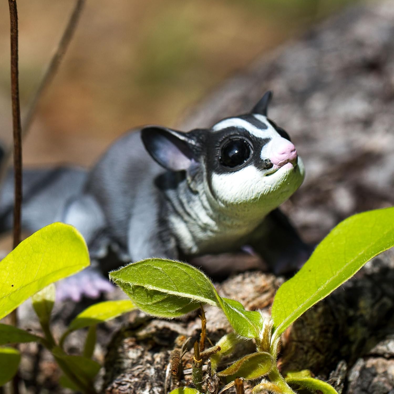 Safari Ltd. Sugar Glider Figurine - Hand-Painted, Lifelike Model Figure 6.75" - Fun Educational Marsupial Toy for Boys, Girls & Kids Ages 3+