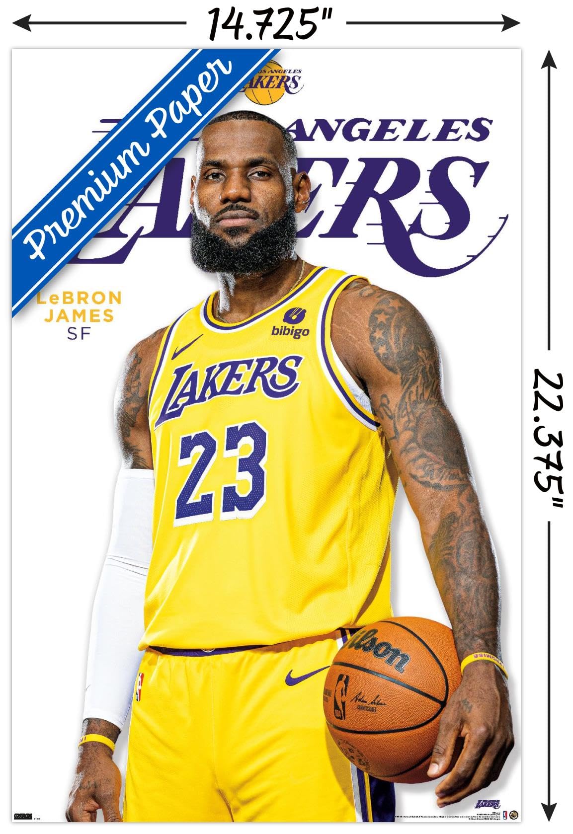 NBA LeBron James タペストリー Amazon.com: NBA Los Angeles Lakers - LeBron James Feature Series