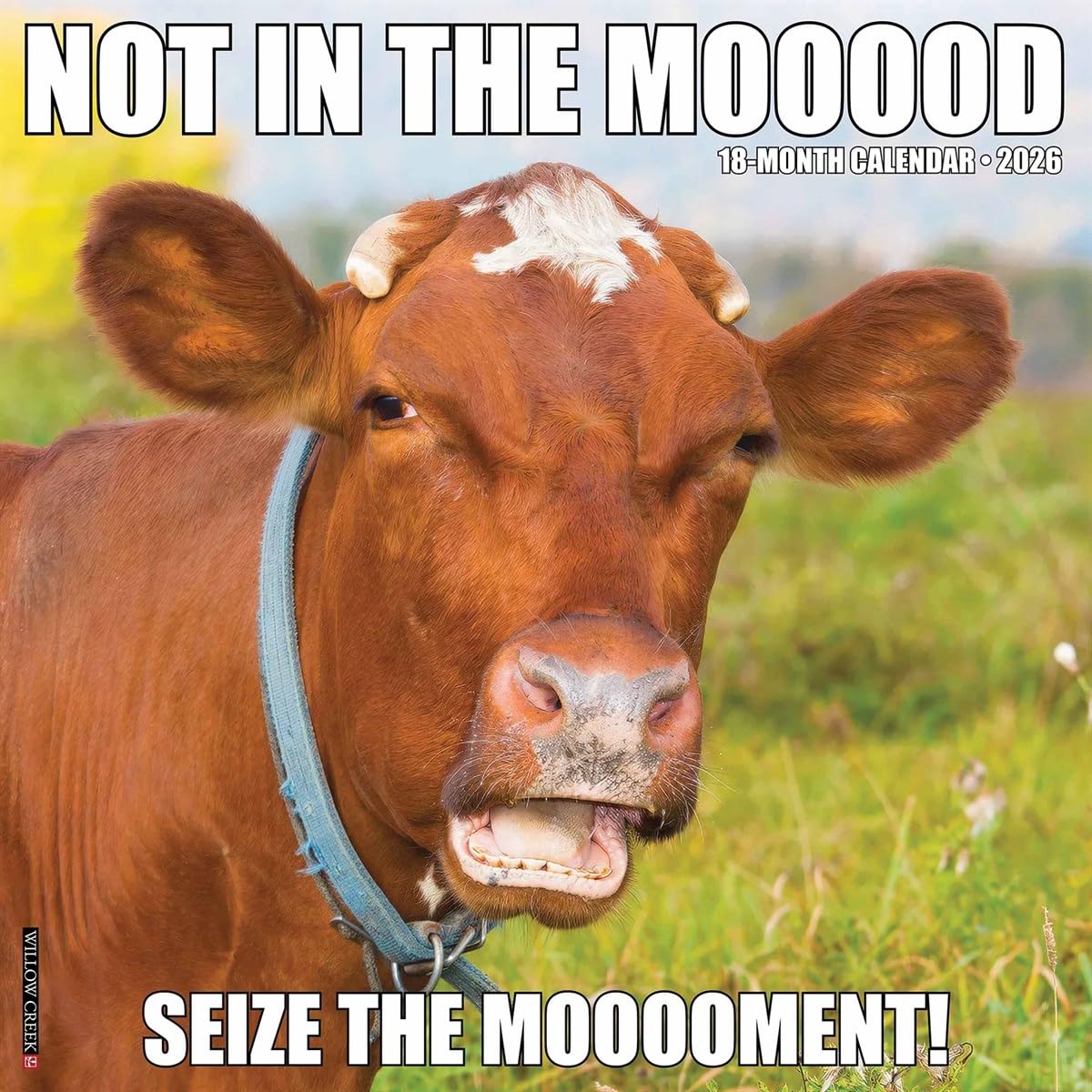 Not in the Mooood 2026 Wall Calendar by  Willow Creek Press - 9781549252211