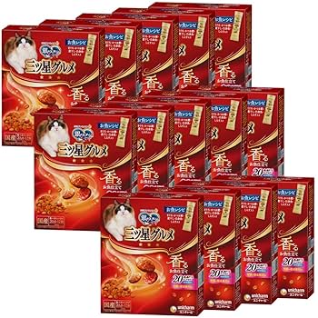 銀のスプーン 三ッ星グルメ(２０箱) 銀のスプーン三ツ星グルメ香るお魚仕立て20歳を過ぎてもすこやか