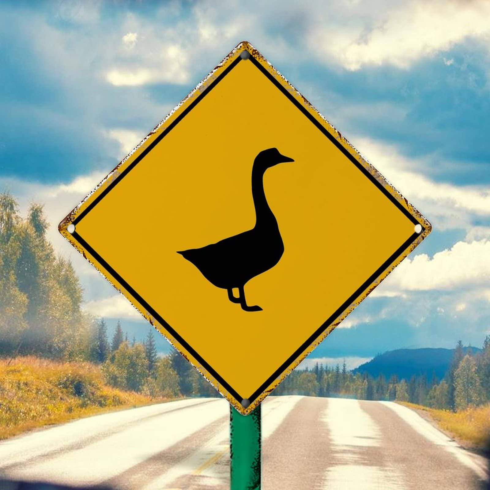 VGEBY Décoration De Panneau D'avertissement D'aquarium Panneau D