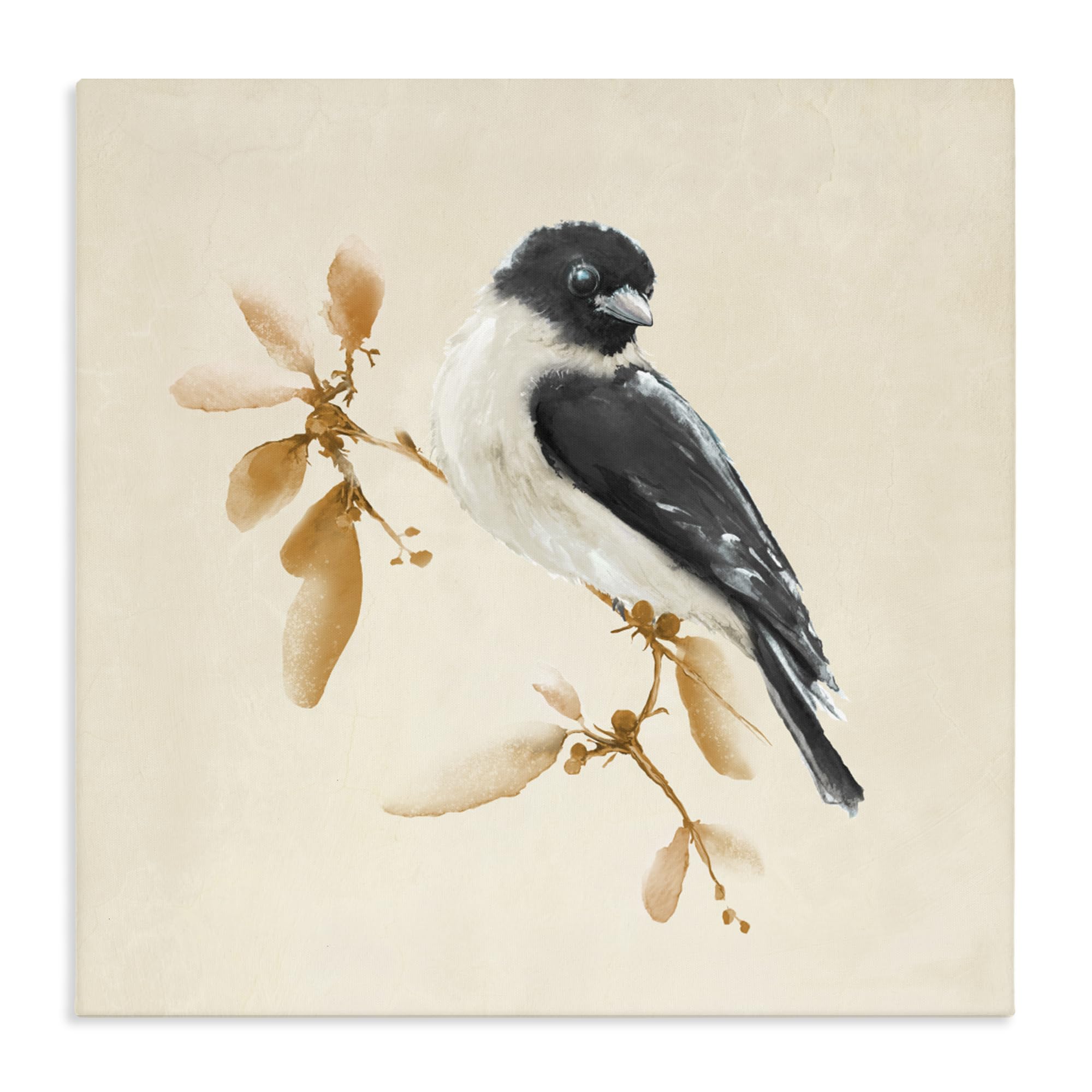 Stupell Industries 'Subtle Watercolor Chickadee', Canvas Art, 24 x 24 Inches, Easy to Hang and Sturdy, Made in USA, by Diannart