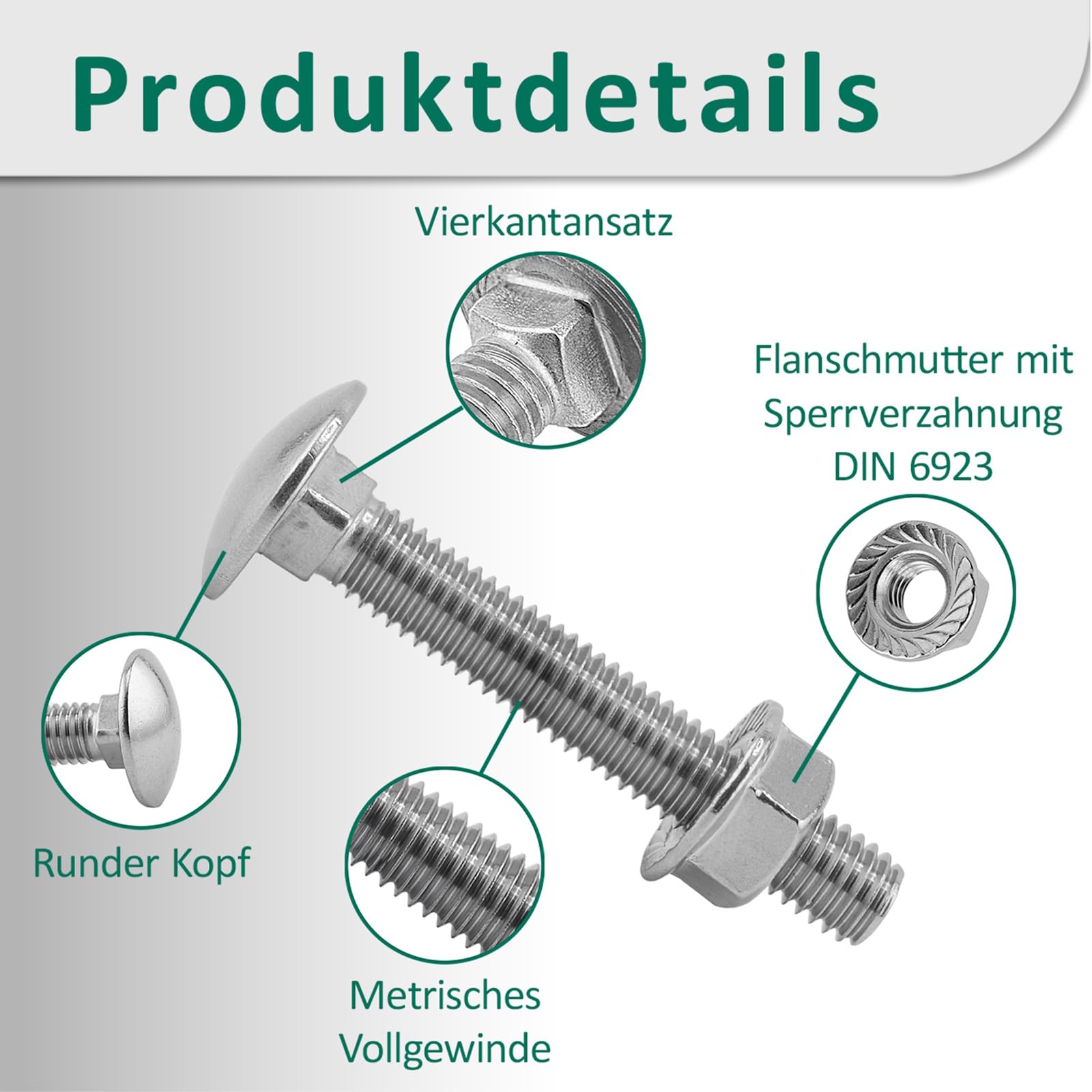 DSM – Viti a testa tonda M6 x 70 mm a norma DIN 603 – Dado flangiato M6 con dentatura di bloccaggio DIN 6923 – Acciaio inox A2/V2A – Viti a testa tonda piatta con attacco quadrato – Dado esagonale con