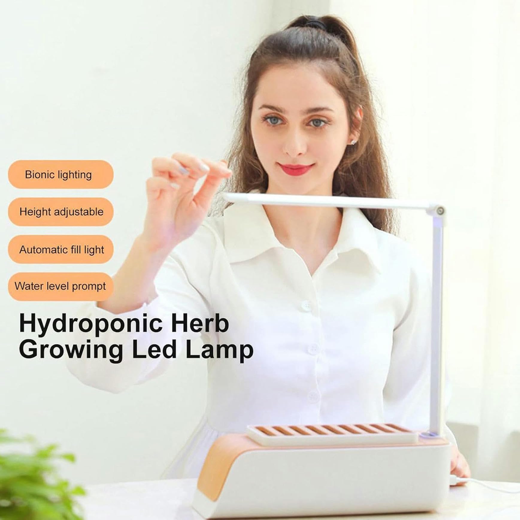 Système De Culture Hydroponique, Grippe Végétale