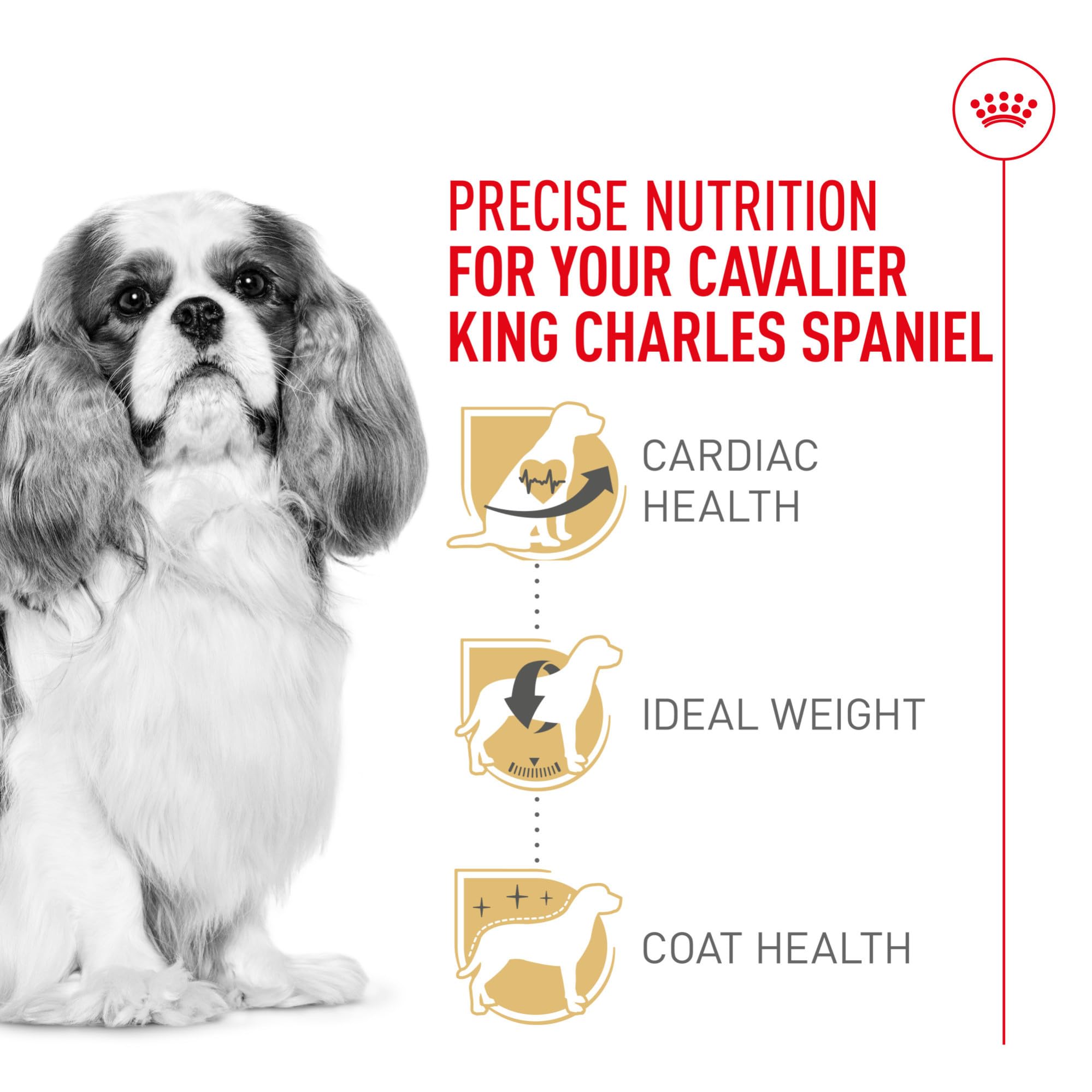ROYAL CANIN Cavalier King Charles Adult Dry Dog Food 10 lb Bag | Heart Health Weigth Management Coat Health For Adult Cavalier King Charles Spaniel Specialized Kibble for Easy Pickup product thumbnail 5