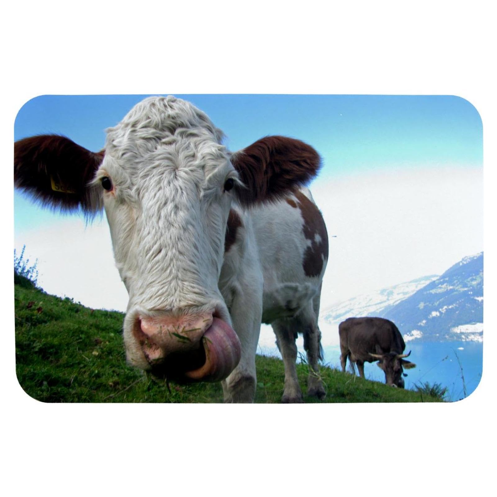 Tapis de bain bétail Hereford antidérapant pour en finir avec les sols mouillés de la douche
