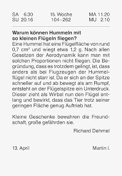 BRUNNEN Tear-off calendar 2026 No. 4 | 65 x 98 mm