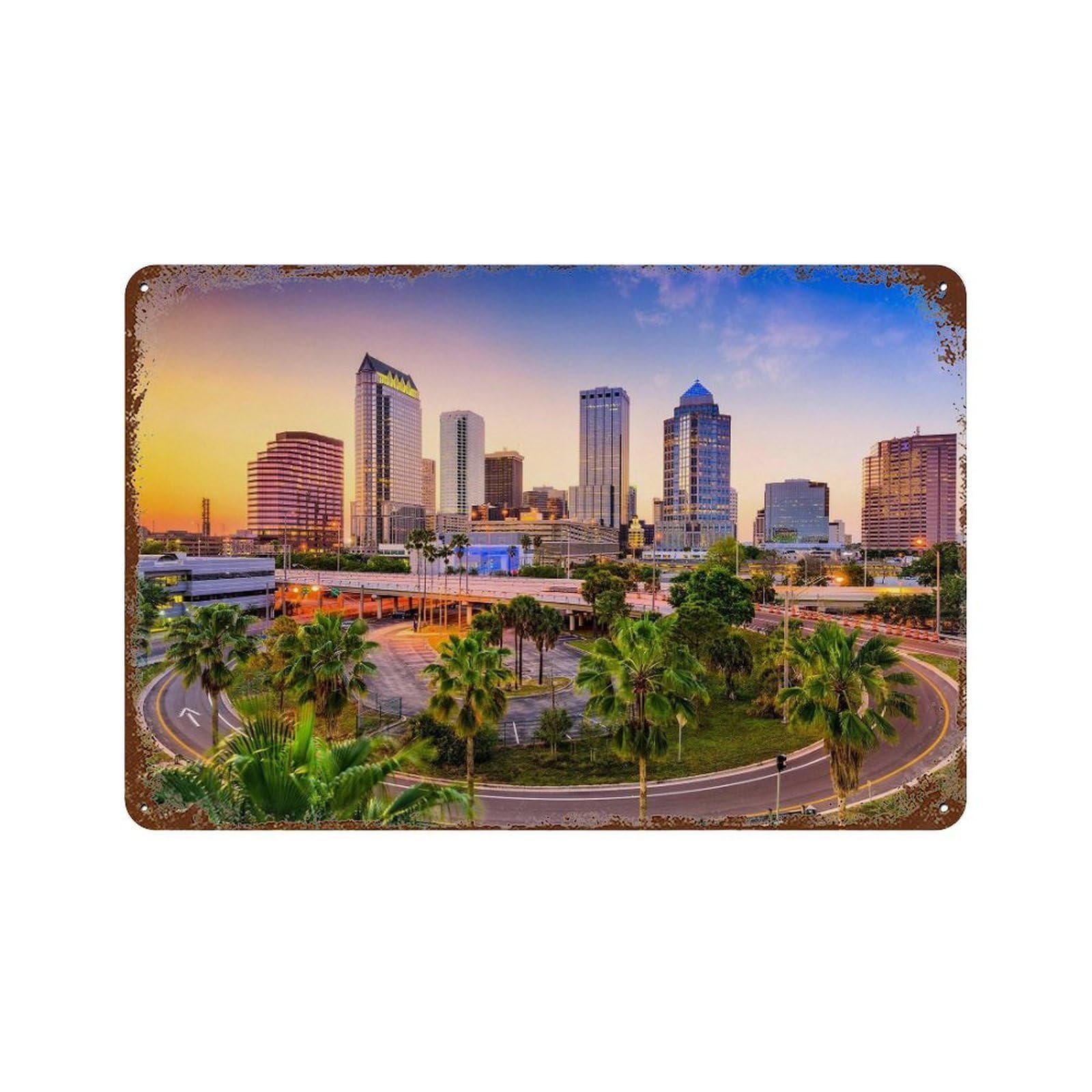 xiaoxiaoshen Real Photo Tampa Decor Florida USA Wall Decor Art Metal Tin Poster Modern Home Decor Art Home Bar Shop Decorations Vintage Sign 20x30cm