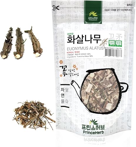 Hierba coreana medicinal Euonymus AlatusCorteza de arbusto ardiente