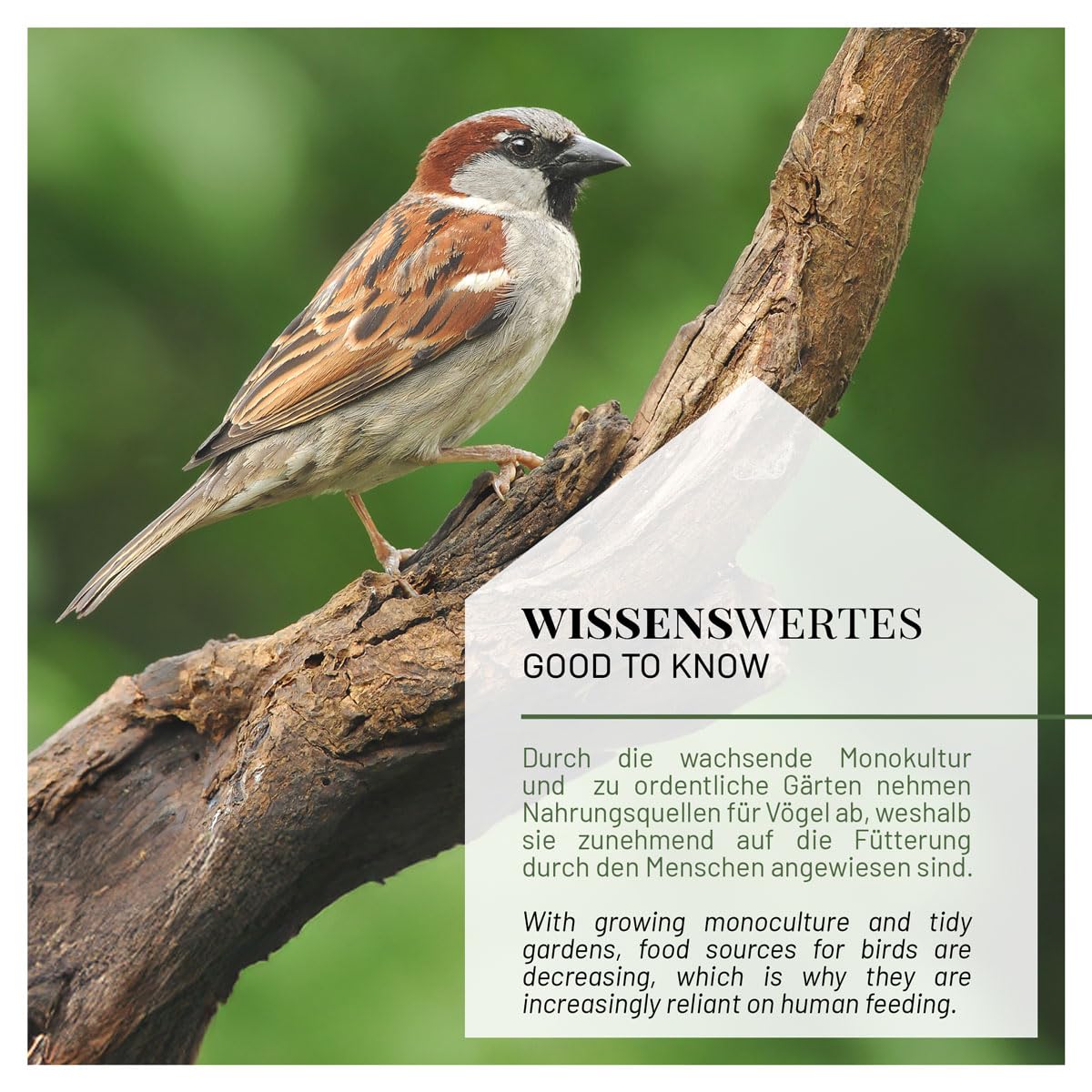 WILDLIFE HOME Vogelhaus XL zum Aufhängen für Wildvögel - Futterscheune für Vogelfutter, Wetterfest Vogelfutterhaus, Vogelfutterspender Vogelfutterstation für Garten & Balkonfütterung