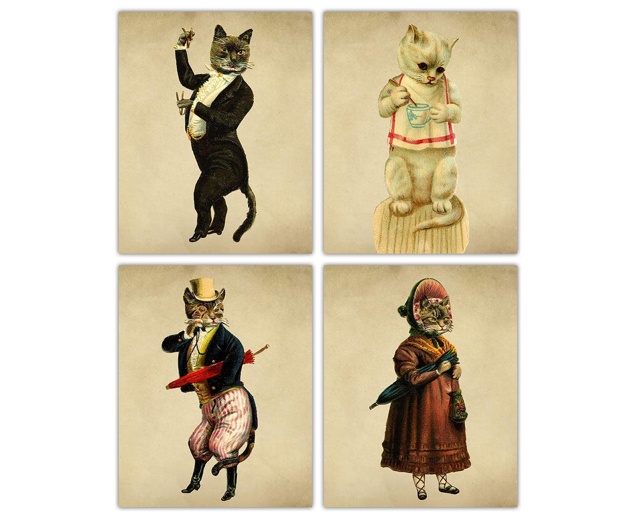 victorian cats in clothes