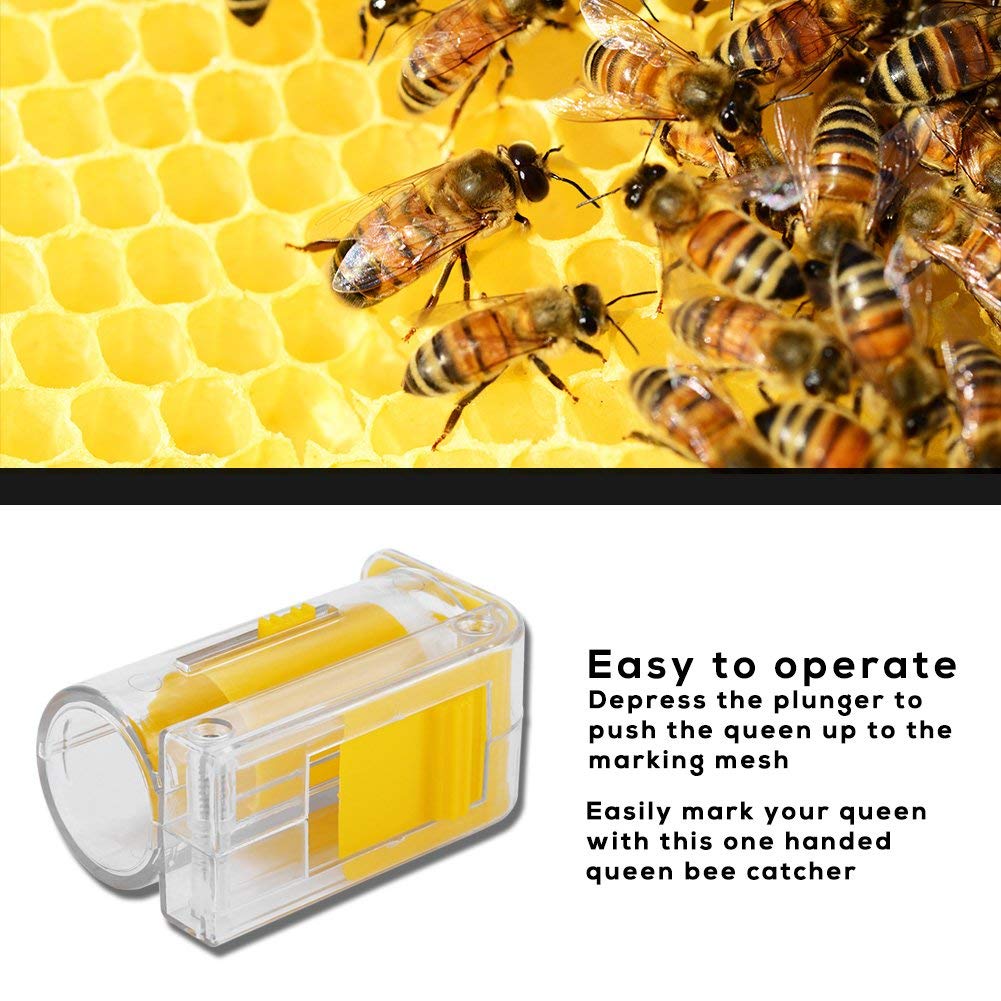 Bewinner Outil d'Apiculture Professionnel : Capteur de Reine d'Abeille en Plastique à Une Main pour une Capture Sans Stress des Abeilles