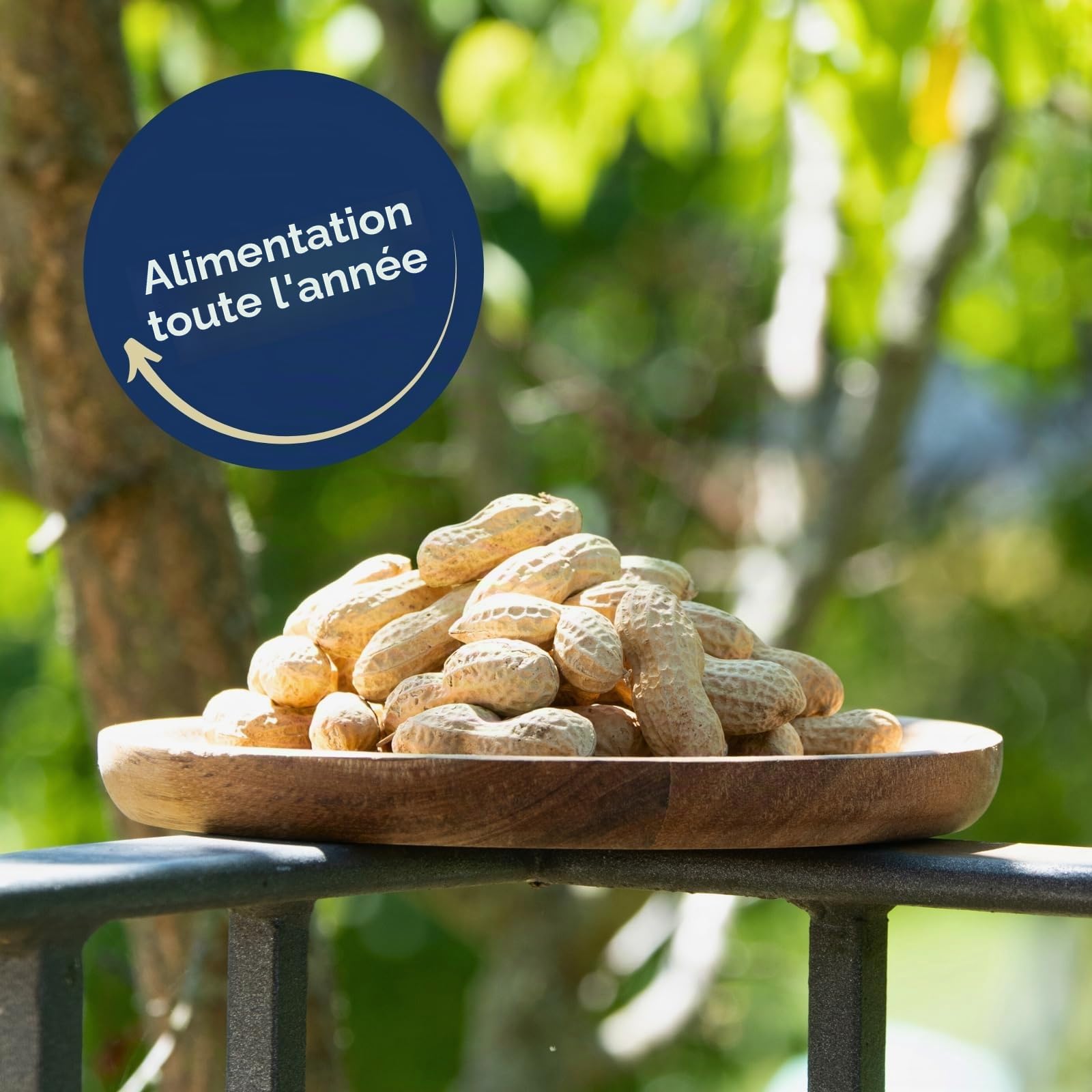 Lyra Pet® 10 kg cacahuètes en Coque – Aliment pour Oiseaux