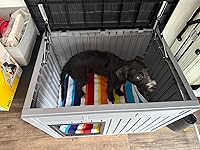 Review Image by Alex Alex