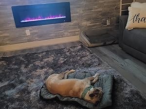 WhizCo Travel Pet Bed with Built-In Bag