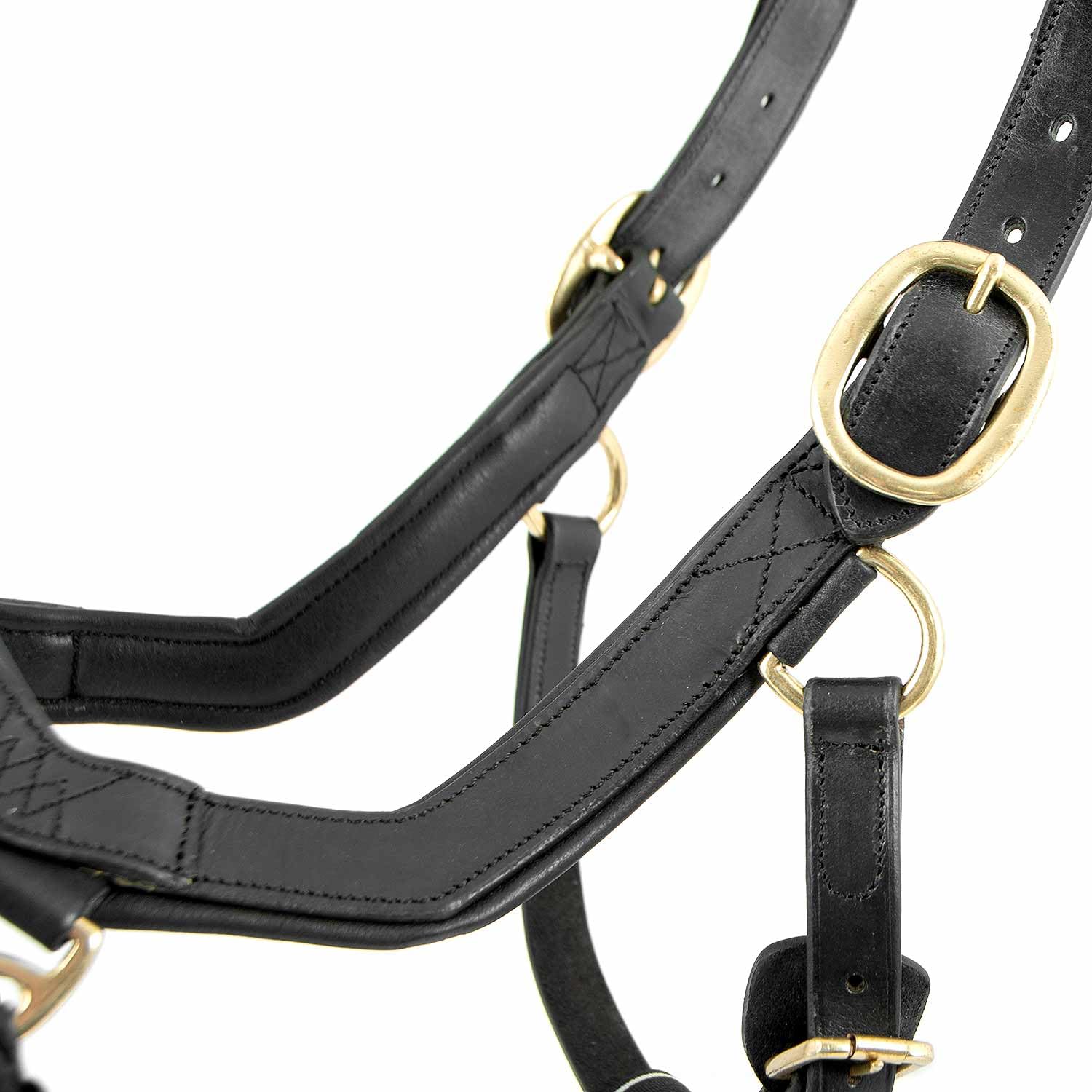 RAMBO Cabezada para Caballos Horseware Micklem