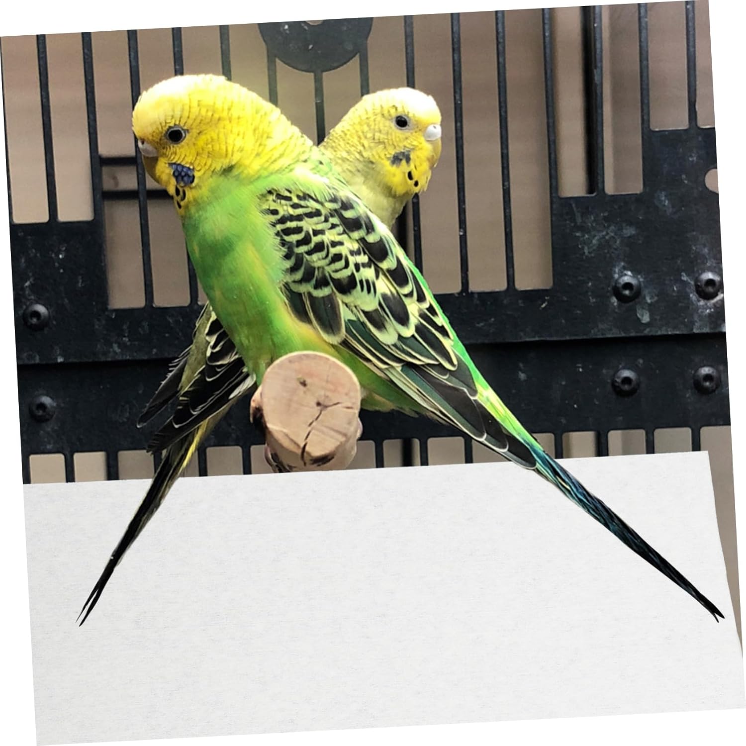 Garneck 100pcs Bird Cage Liners Super Absorbent Parrot Cage Pads for Easy Clean Durable and Thick