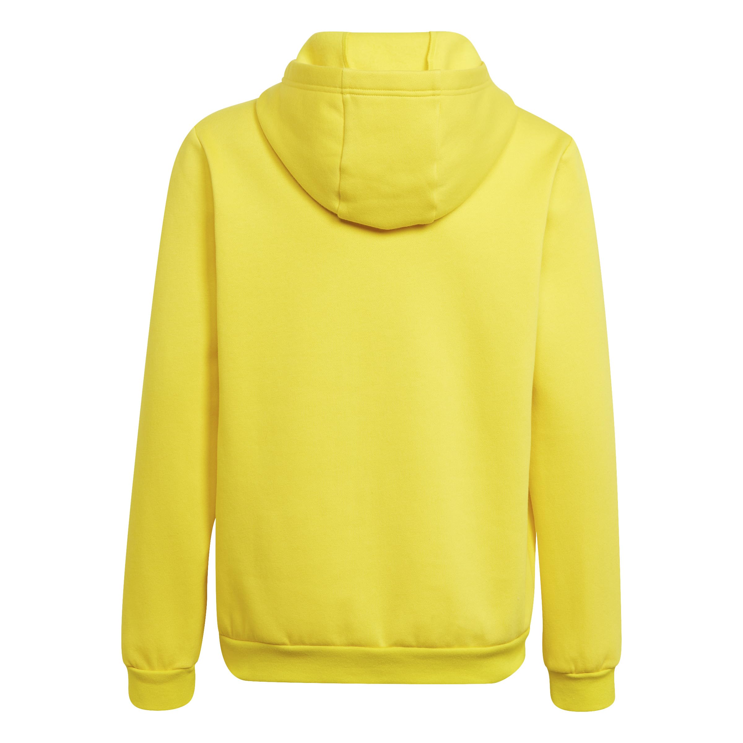 adidas Bluza z kapturem, Uniseks - dzieci Entrada 22 Sweat Hoodie