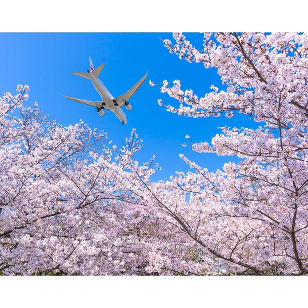 月刊エアラインカレンダー 2004 51bKq-d5IBL.jpg