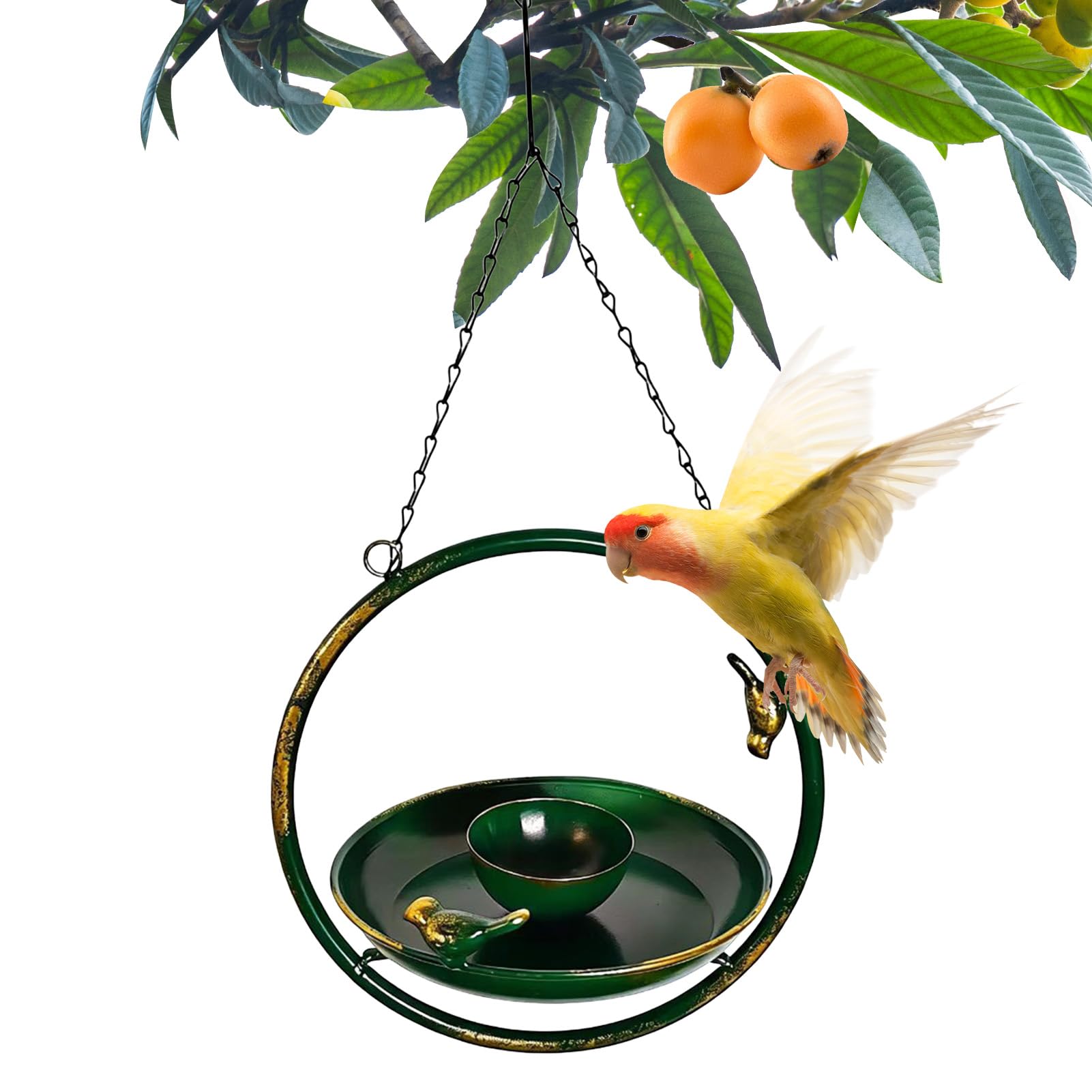 Ornithologie et conservation de la faune en jardin vertical