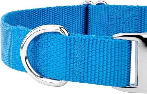 Miniatura 9 de Country Brook Petz  Collar de nailon premium para perro con hebilla de metal  Vibrante selección de 25 colores, Azul (Ice)