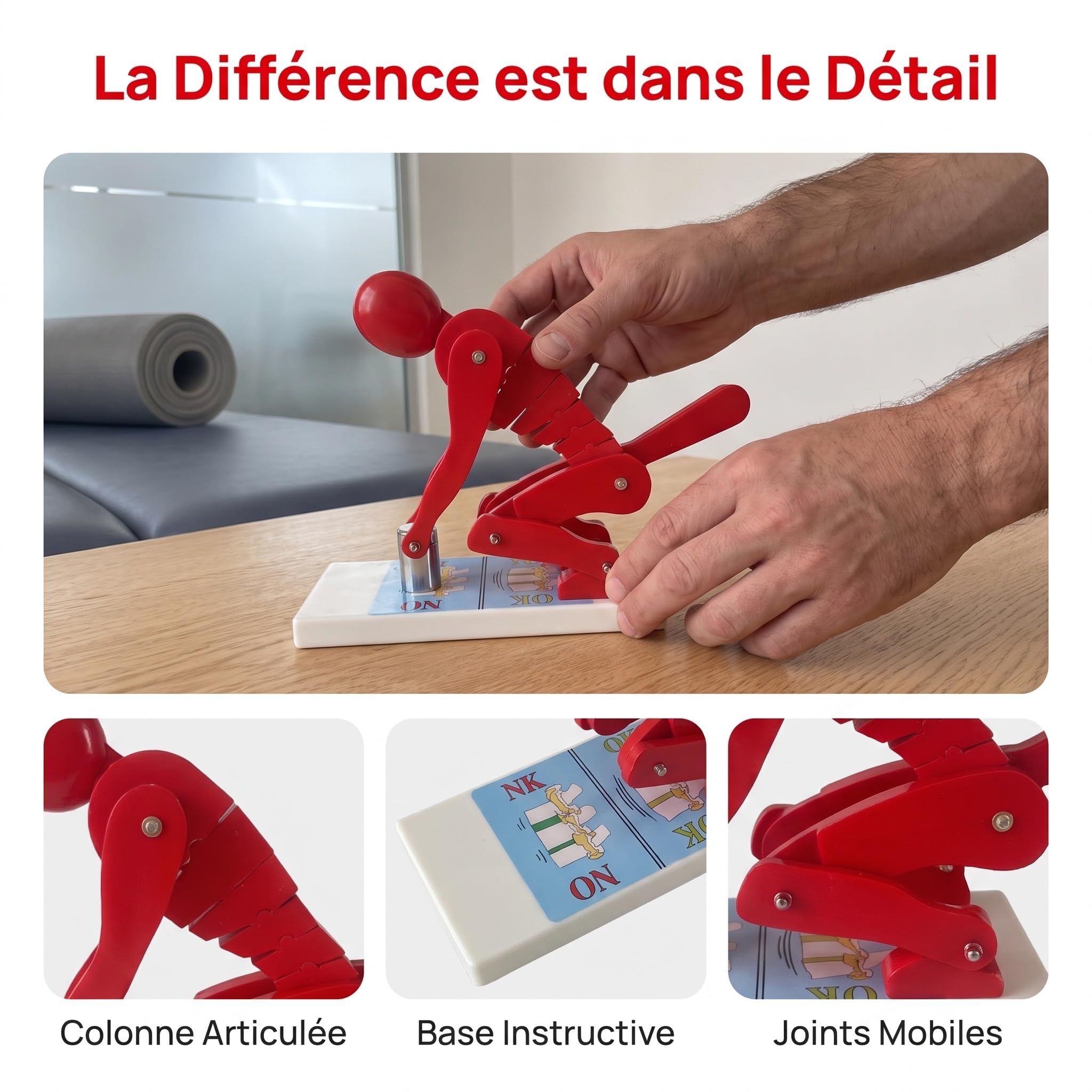 Modèle Biomécanique Levage Base Stable Modèle Posture Port Objet Résistant à Chocs Maquette Démonstration Posture Levage Matériel Pédagogique pour Instructeur Sportifs, Rouge